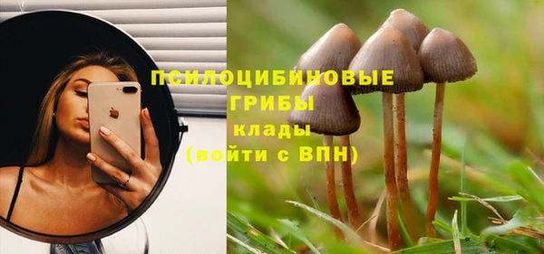 прущие крисы Алексин