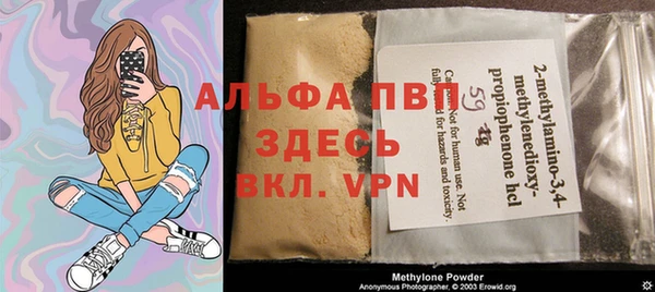 молекула духа Алексеевка