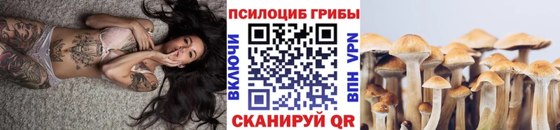 Псилоцибиновые грибы Psilocybine cubensis  Тара 