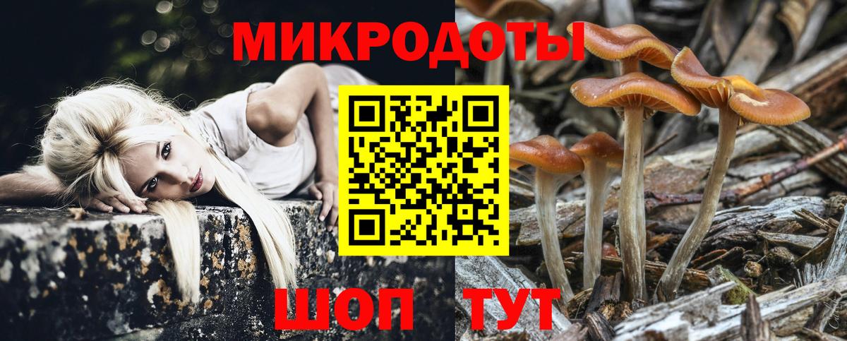 Бошки Шишки Тара