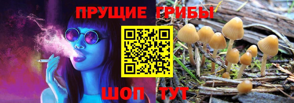 Псилоцибиновые грибы мухоморы Тара