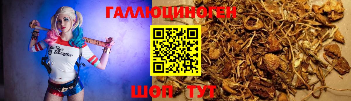 Галлюциногенные грибы Cubensis  Вход с VPN  где продают наркотики  Тара 