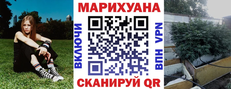 Бошки марихуана план  Тара 