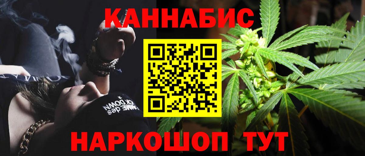 Бошки Шишки сатива Тара